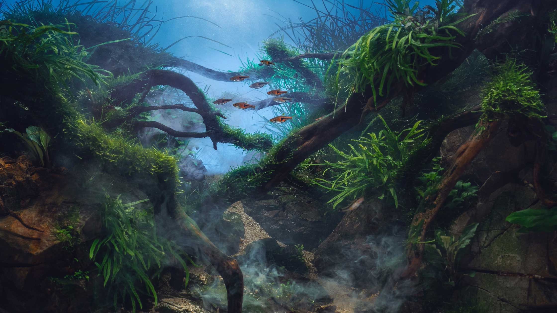 underwater background
