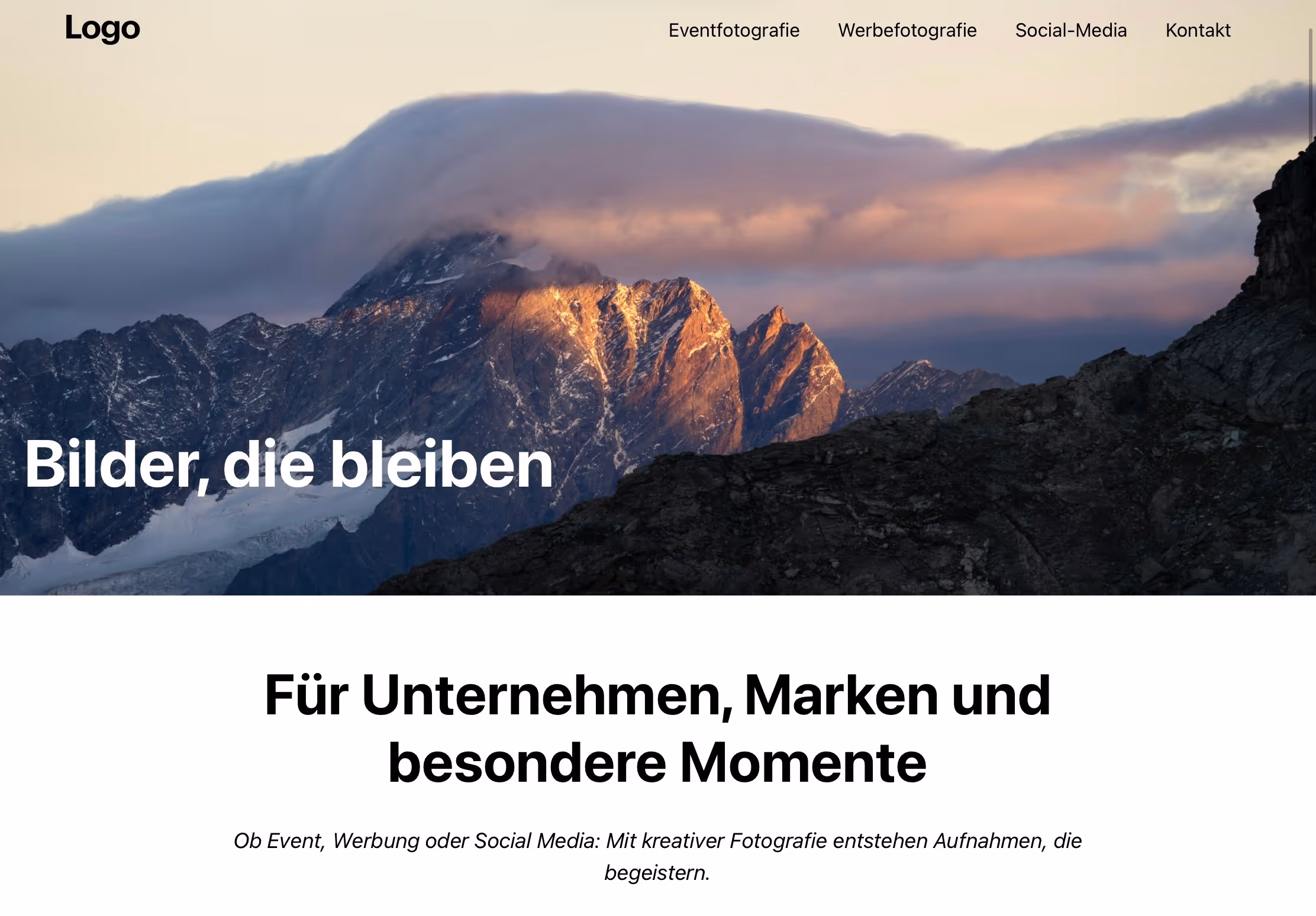A preview of the first Demo Website