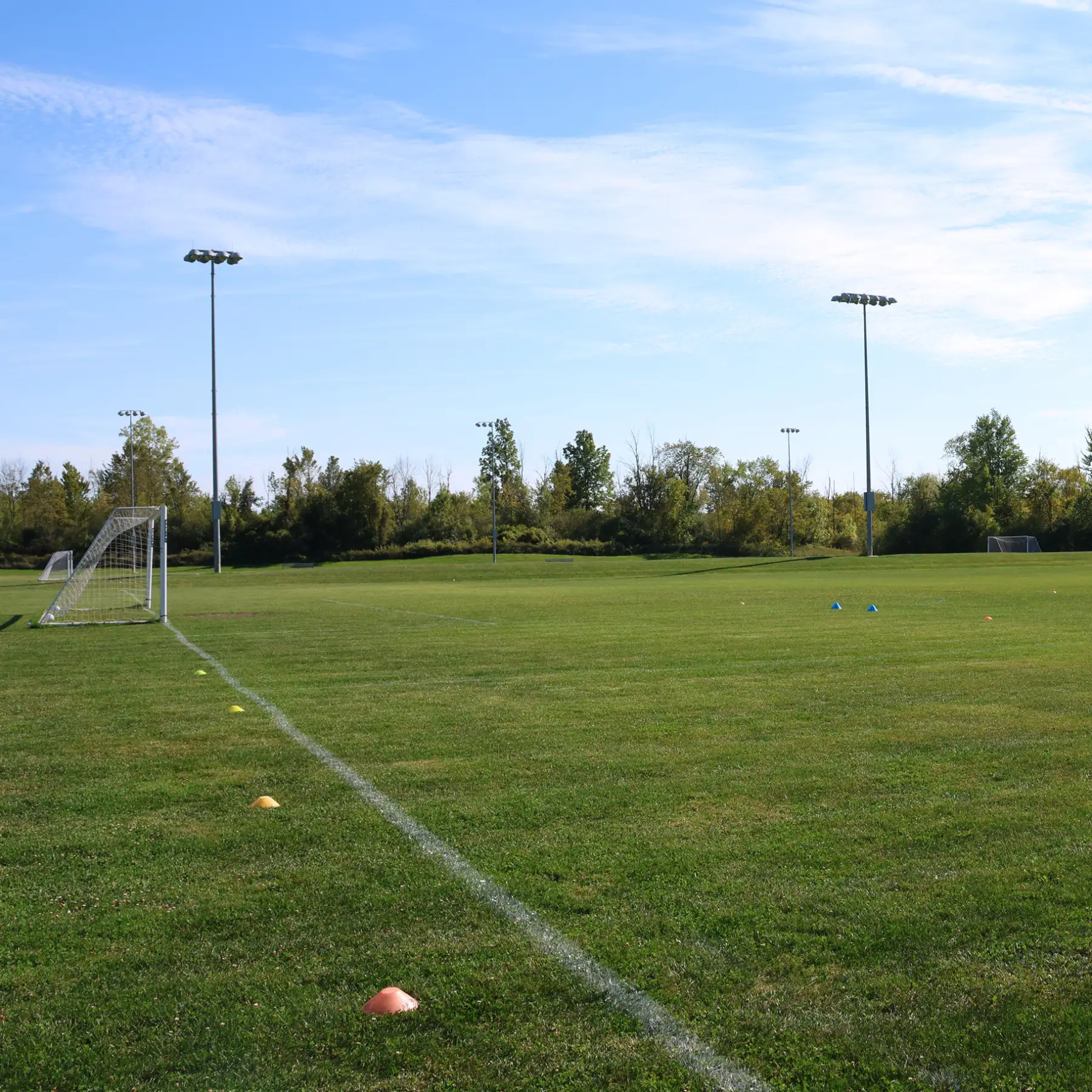 An empty soccer field with a goal, marked by cones on a sunny day.