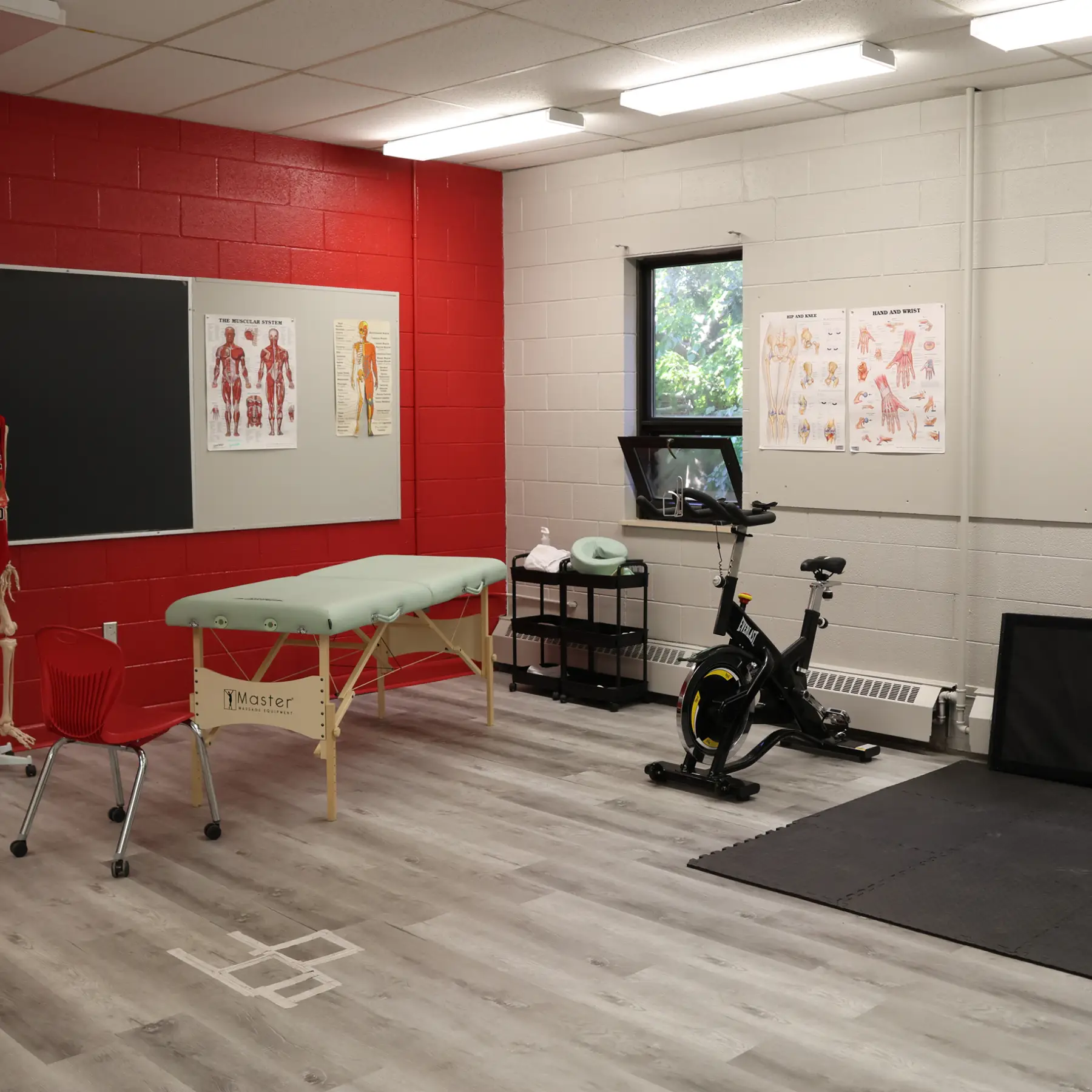A physical therapy room with a massage table, exercise bike, and anatomical charts on the walls.