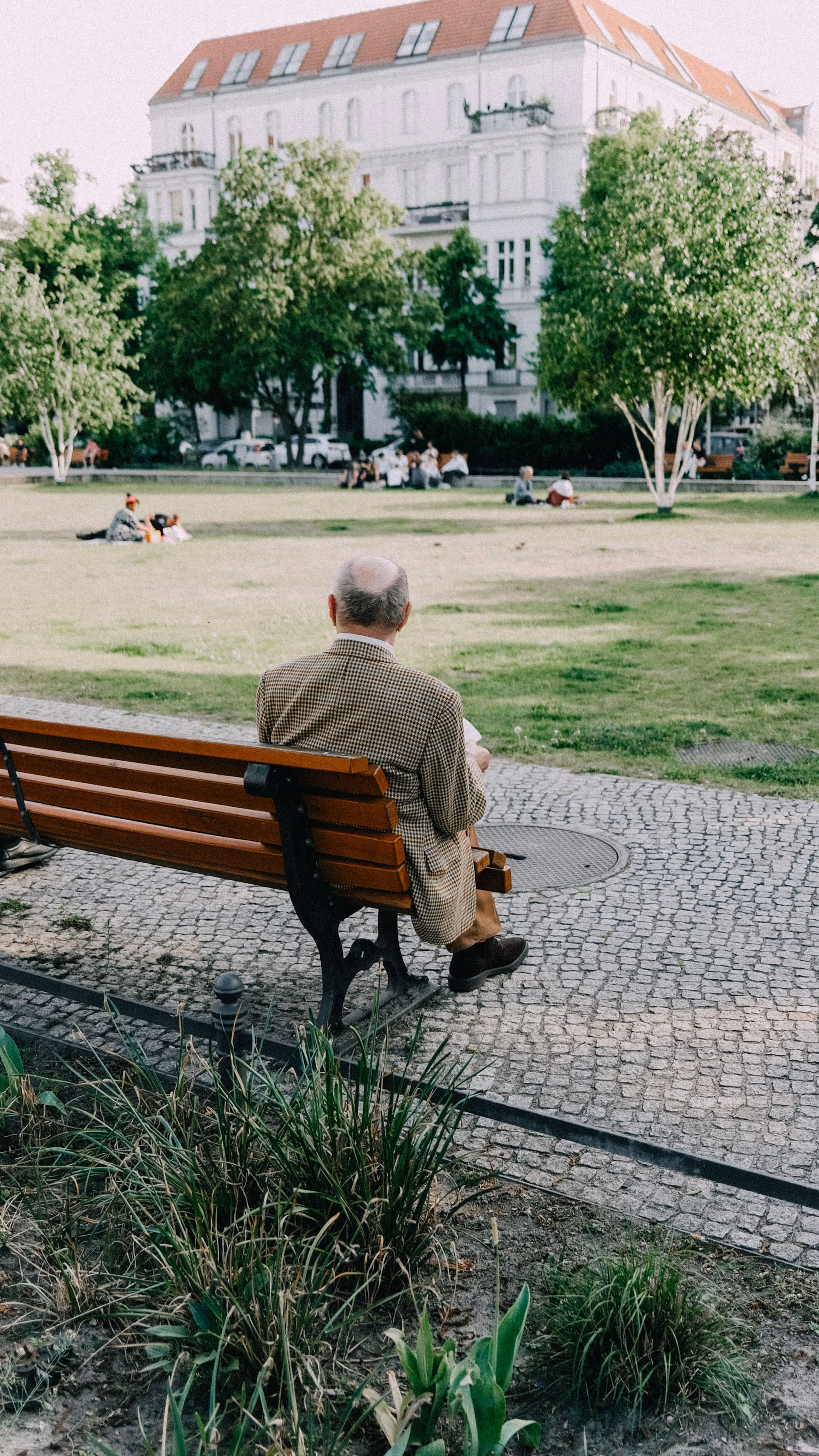An elderly man wearing a checkered jacket sitting alone on a wooden bench facing a grassy park with trees and a white building in the background.
