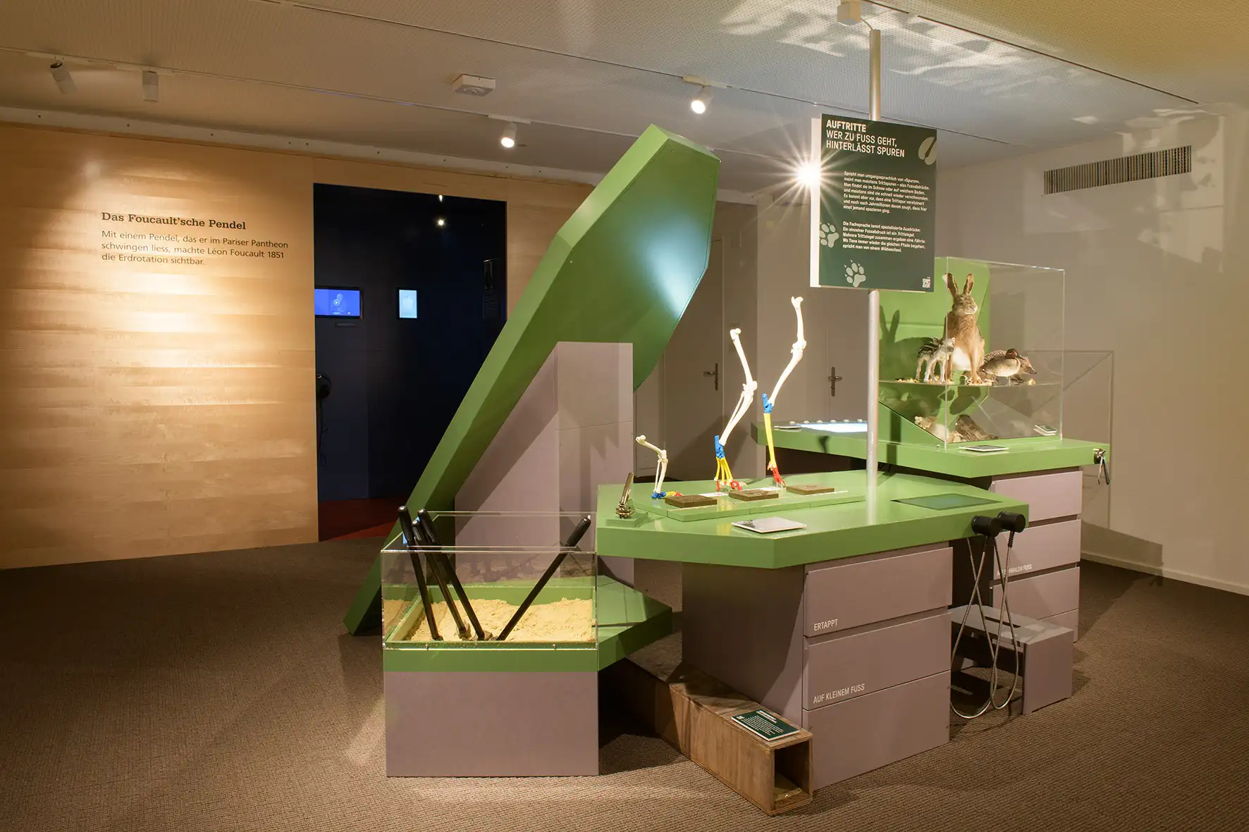 Museumsausstellung mit grünen und grauen Ausstellungsvitrinen, Tiermodellen und Knochen, dazu Informationstafeln an der Wand und an einem Ständer.