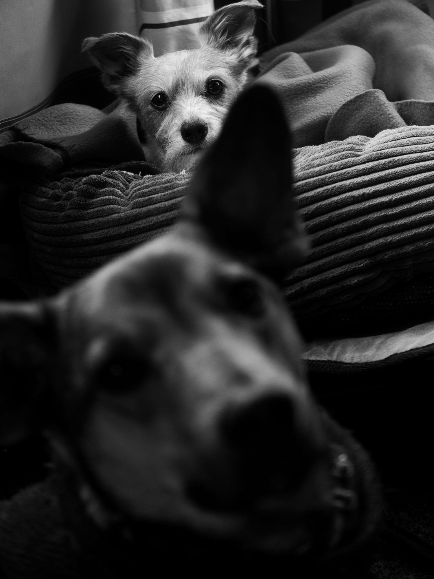 Ein kleiner Einblick in mein Privatleben