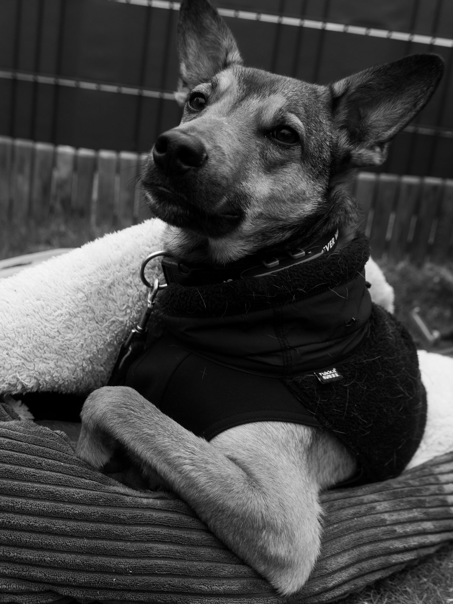 Ein kleiner Einblick in mein Privatleben