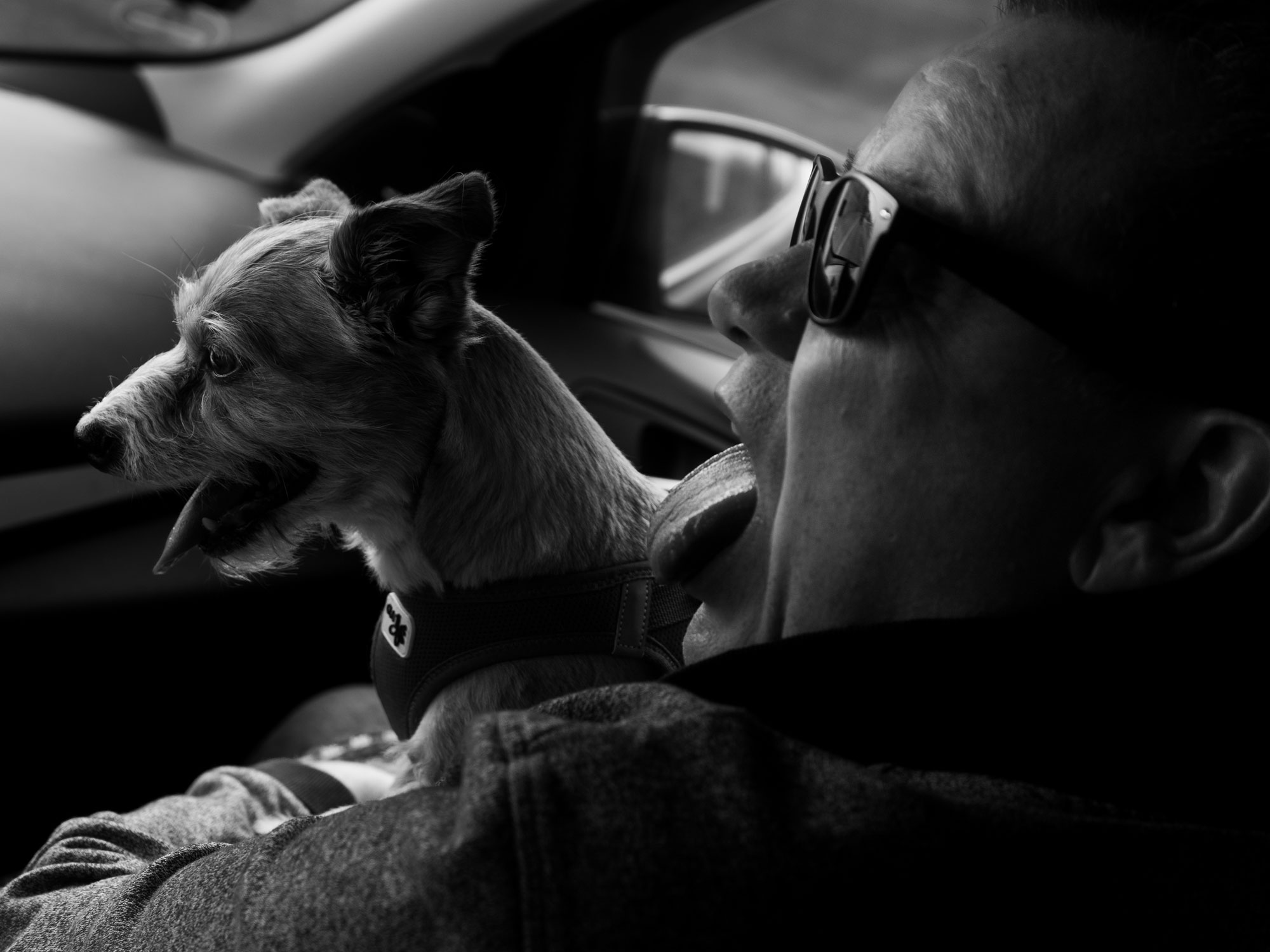 Ein Einblick in mein Privatleben