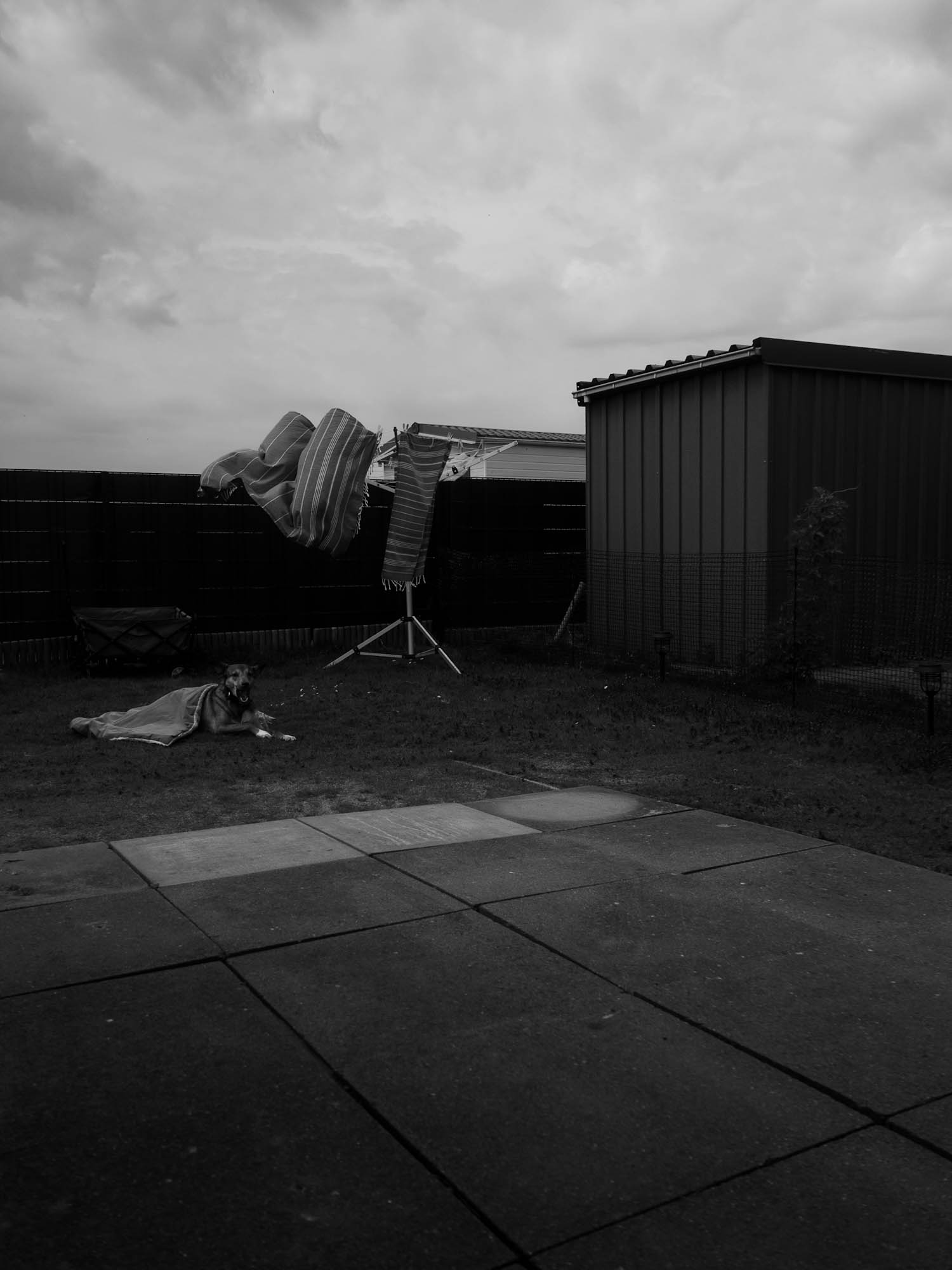 Ein kleiner Einblick in mein Privatleben