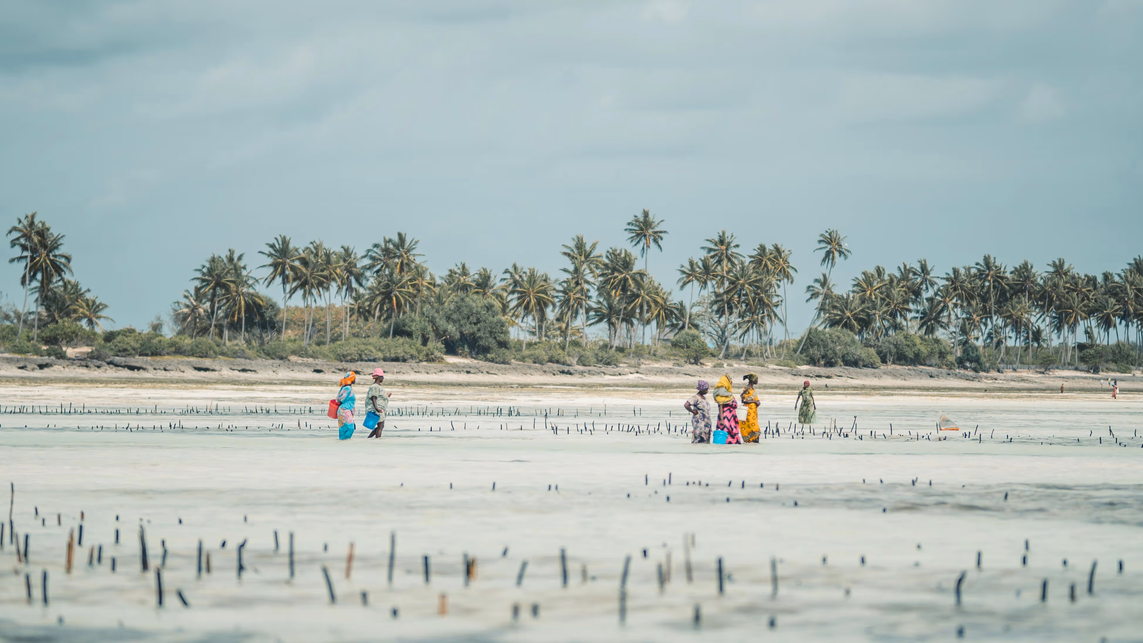 Jeep de safari Kipeo traversant les plaines du Serengeti en Tanzanie