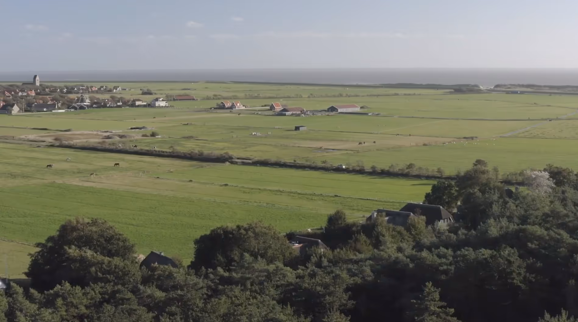 Landschap met groene weilanden, verspreide boerderijen, paarden en een dorp aan de horizon onder een lichte blauwe lucht.