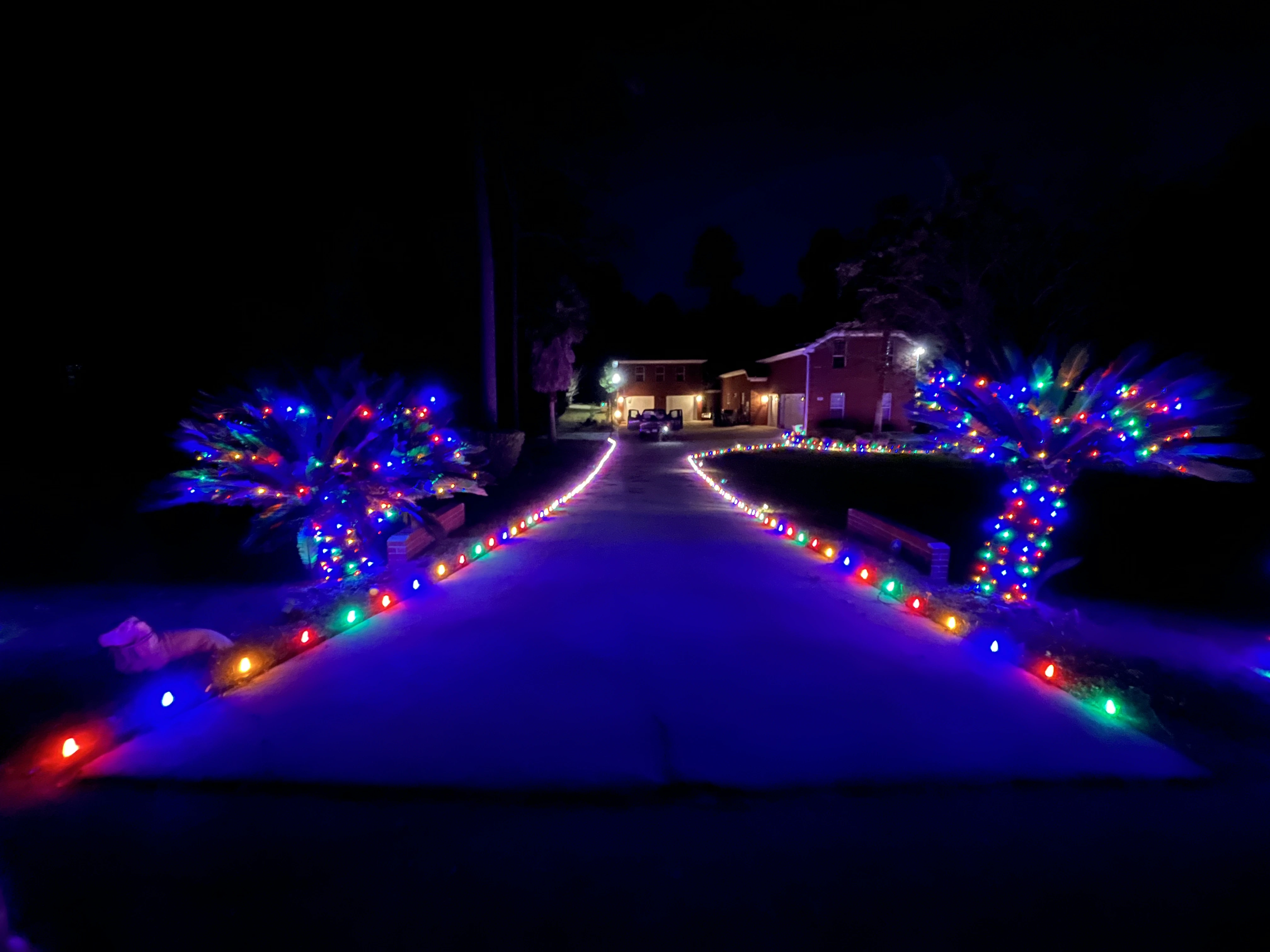 A pathway decorated different colored lights.
