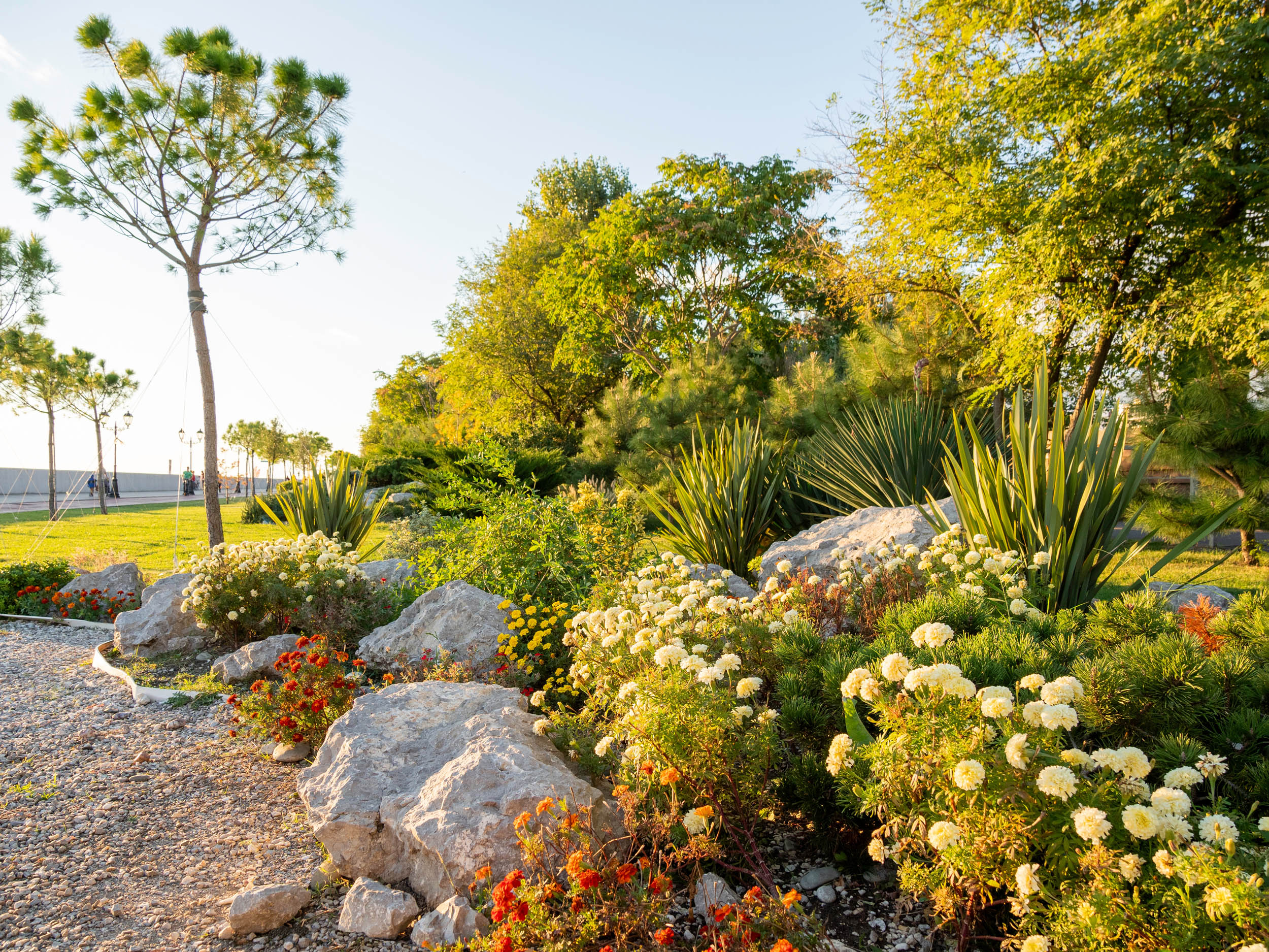 Urban landscaping flower bed with colorful plants