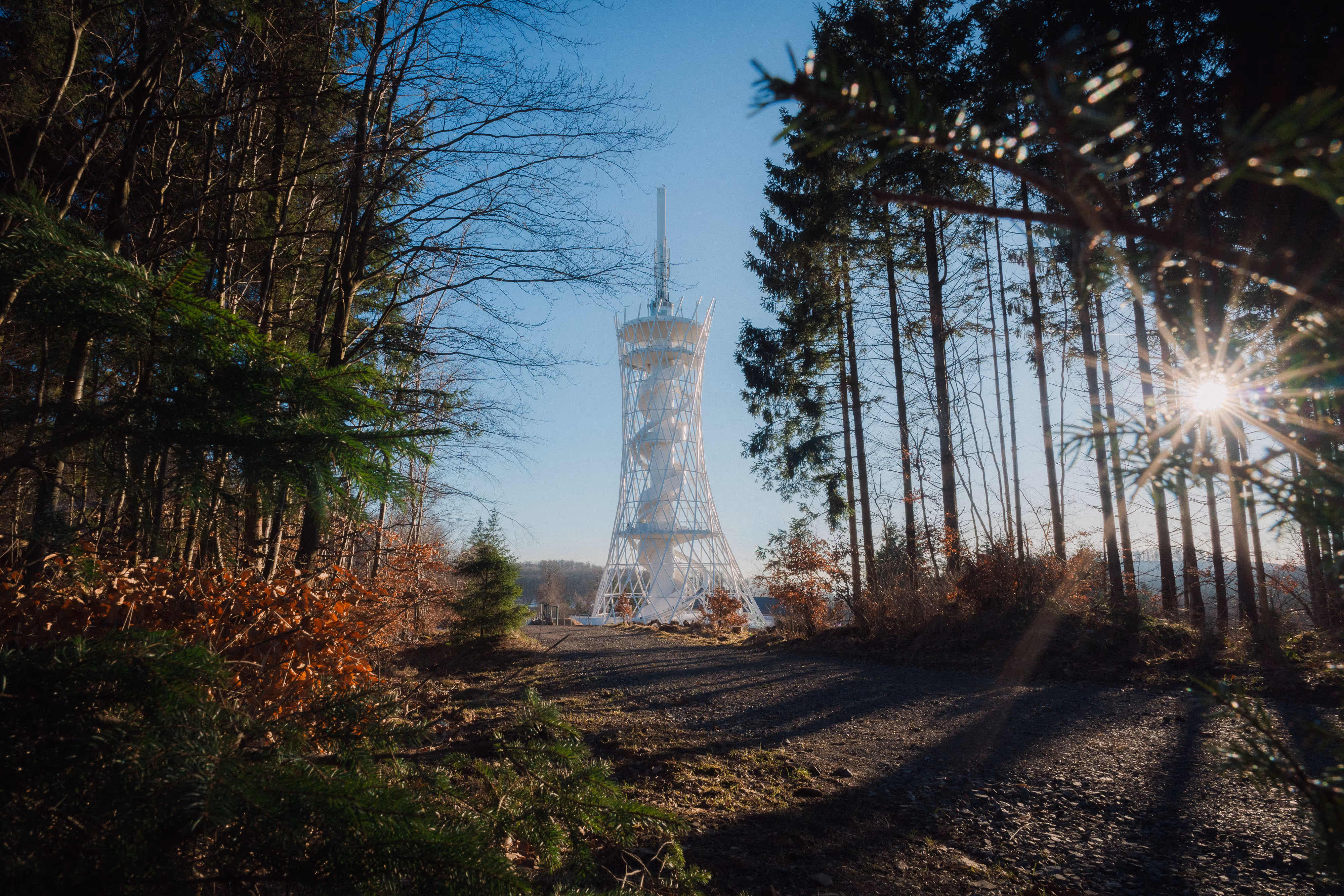Moderner weißer HEX Erlebnisturm in einem Wald mit kahlen und grünen Bäumen, Sonne scheint durch die Äste.