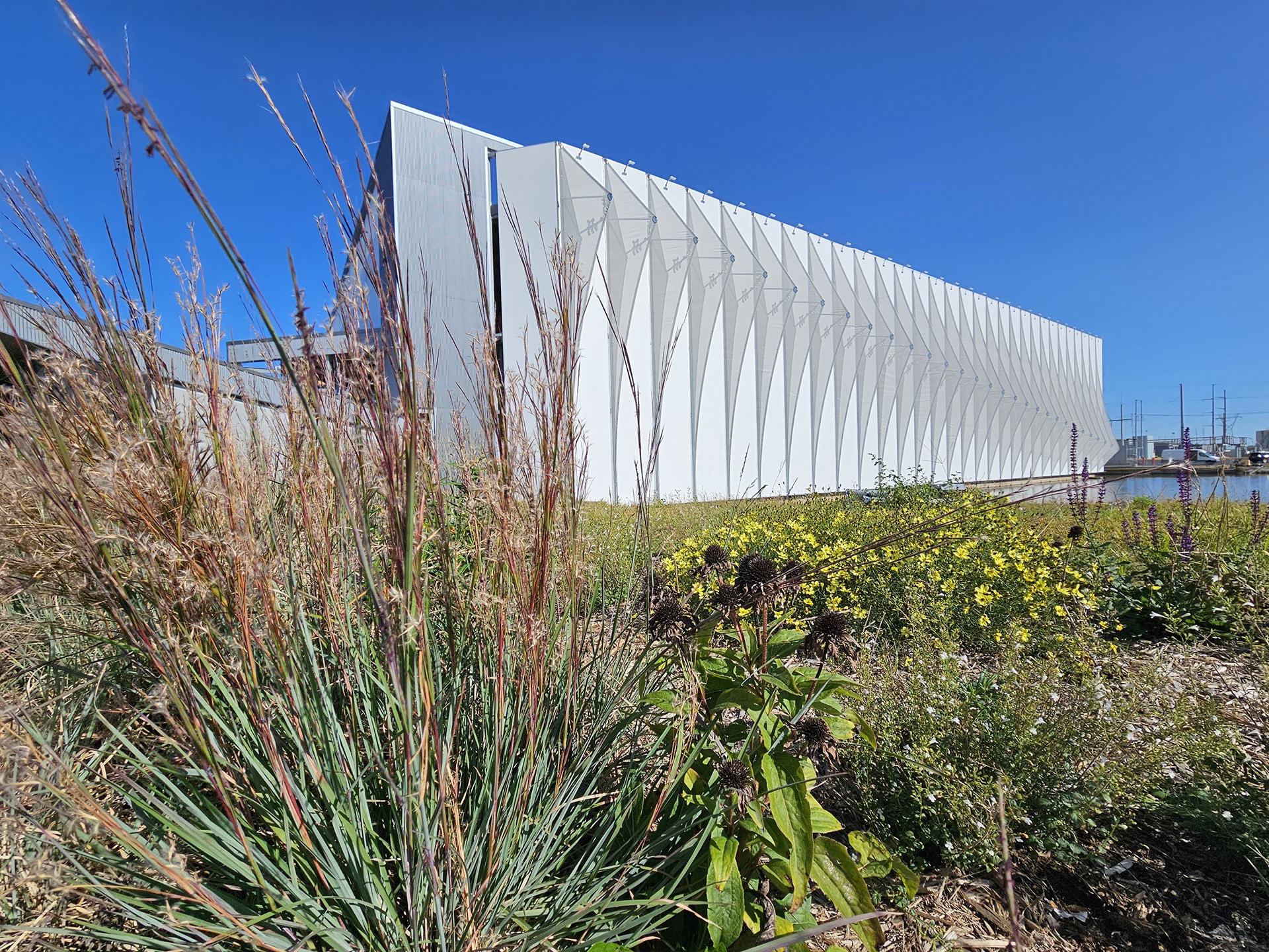 A far back photo of the facade that is peaking through the foliage.