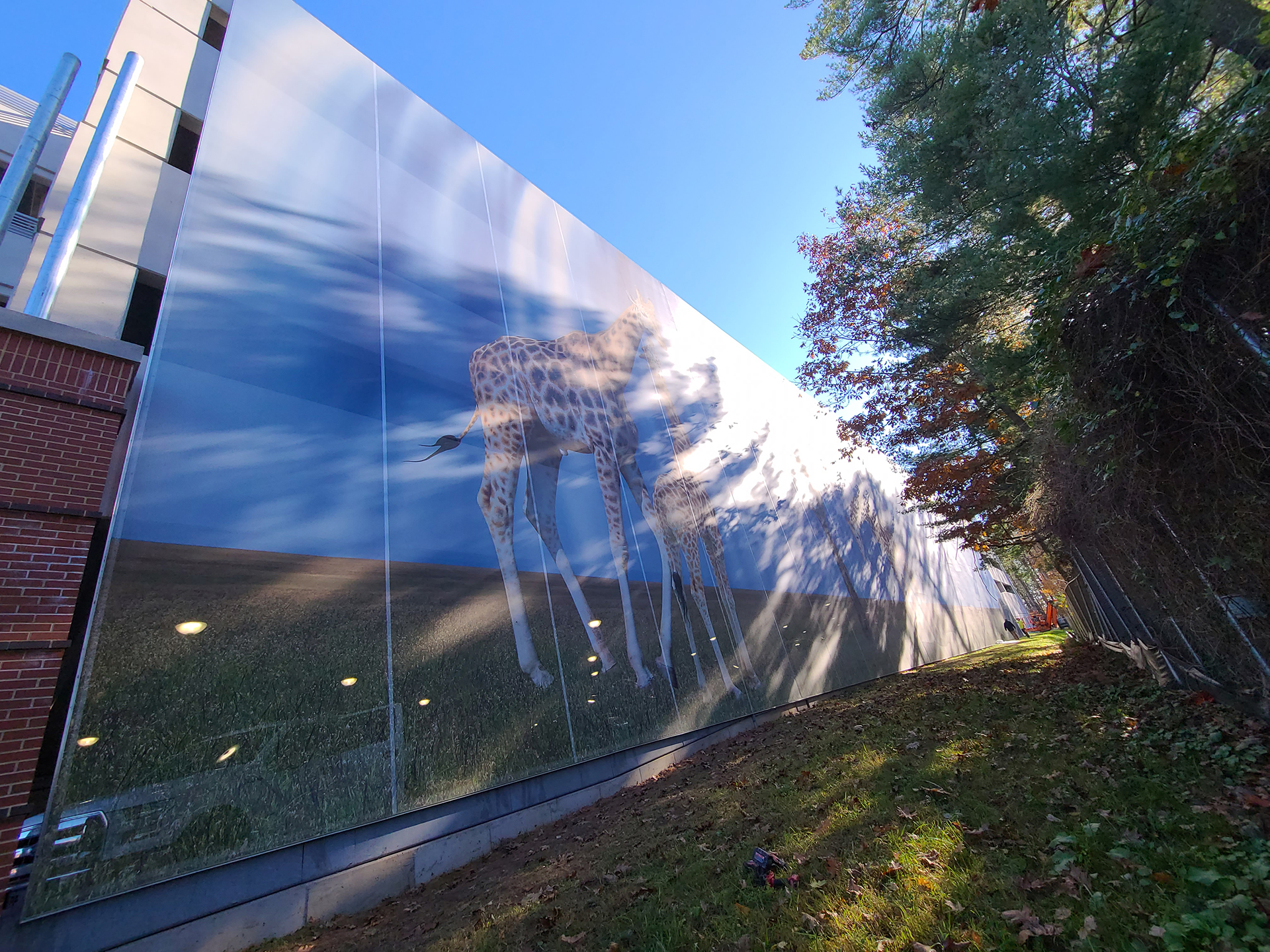 Another image of the giraffes on the facade.