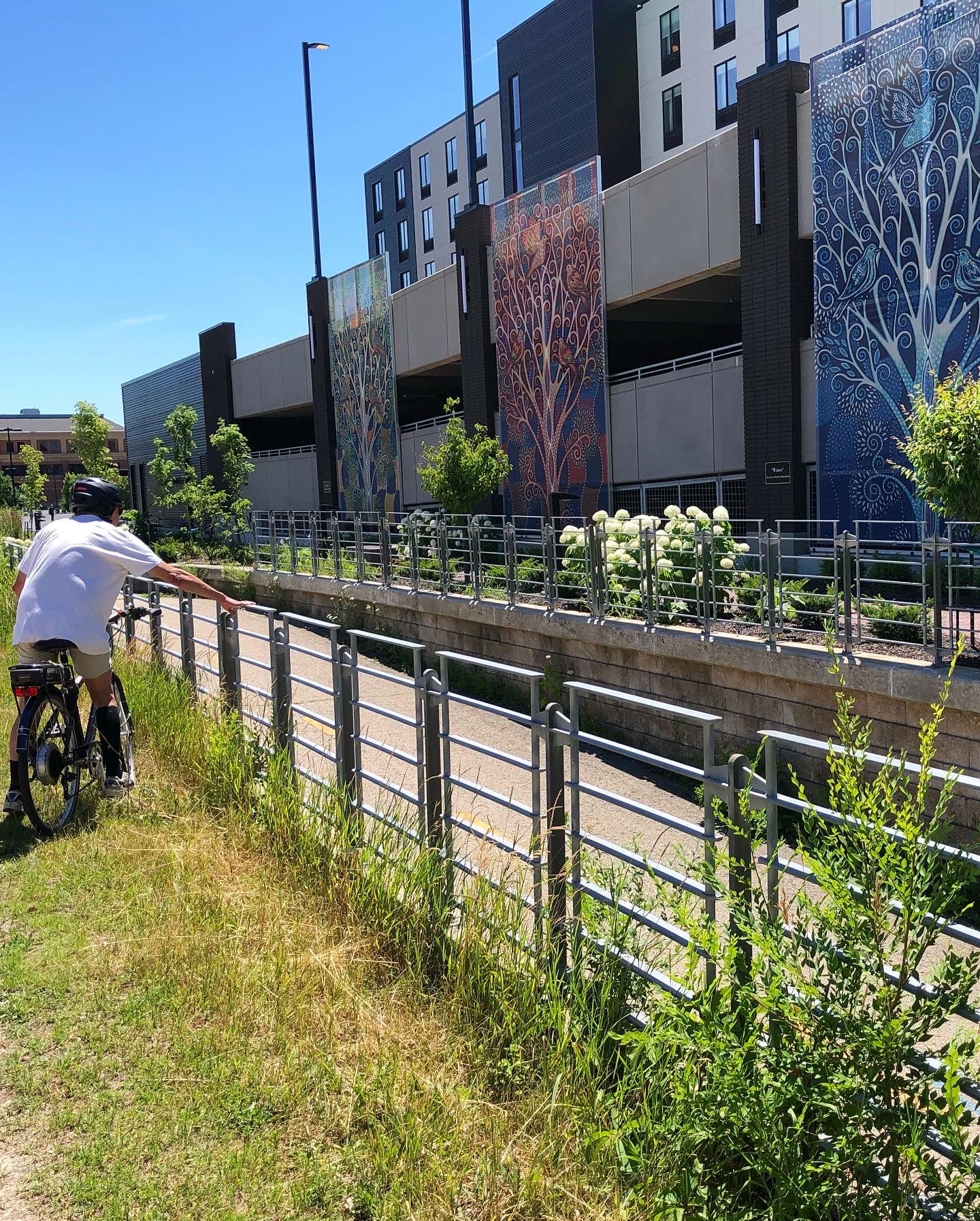 A view of the facades from the road, showing them behind the foliage.