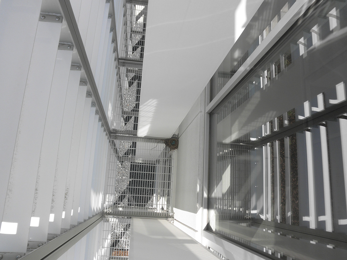 A view from the top of the building looking down into the space between the facade and the building surface.