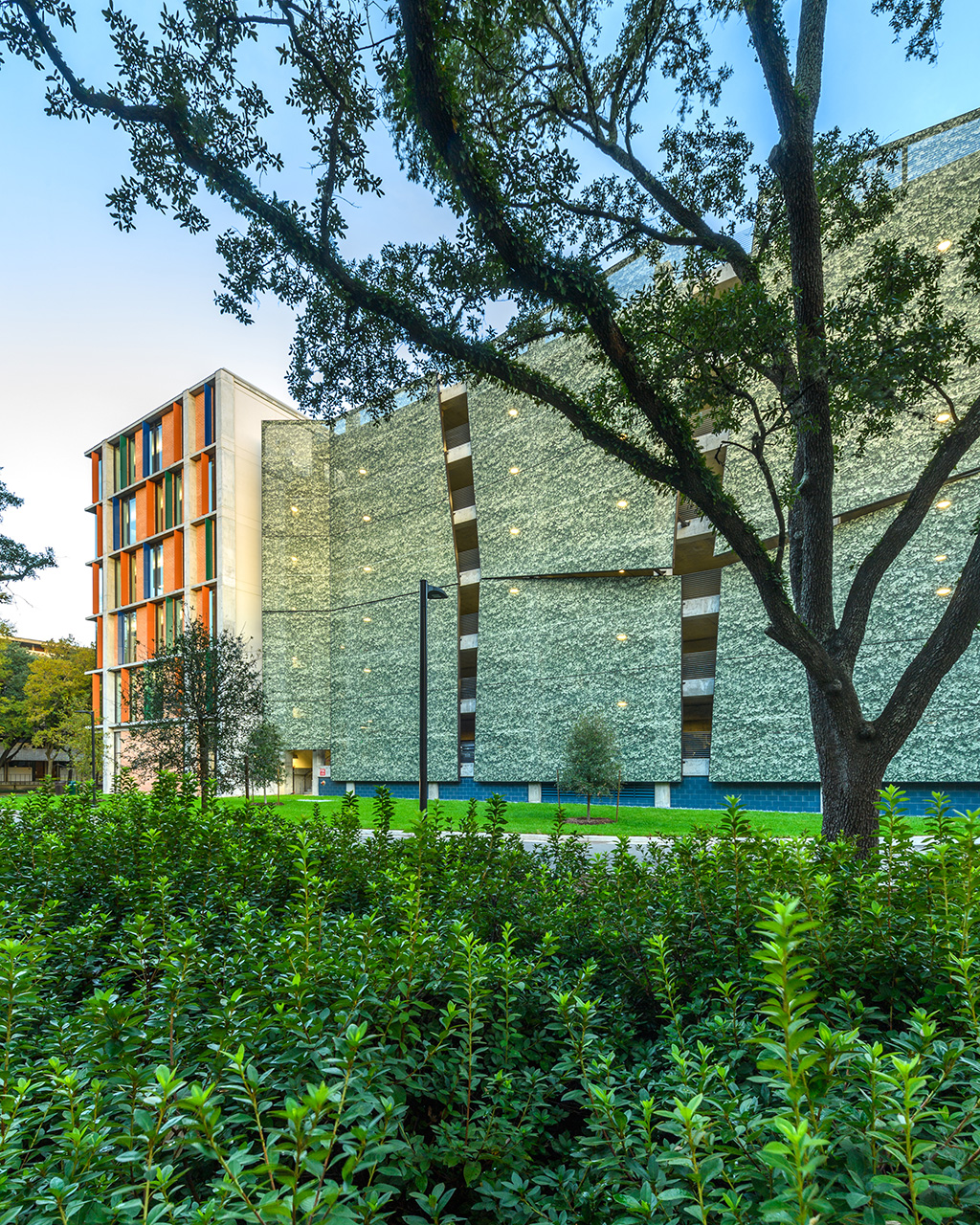A view of the facades shot through the trees.