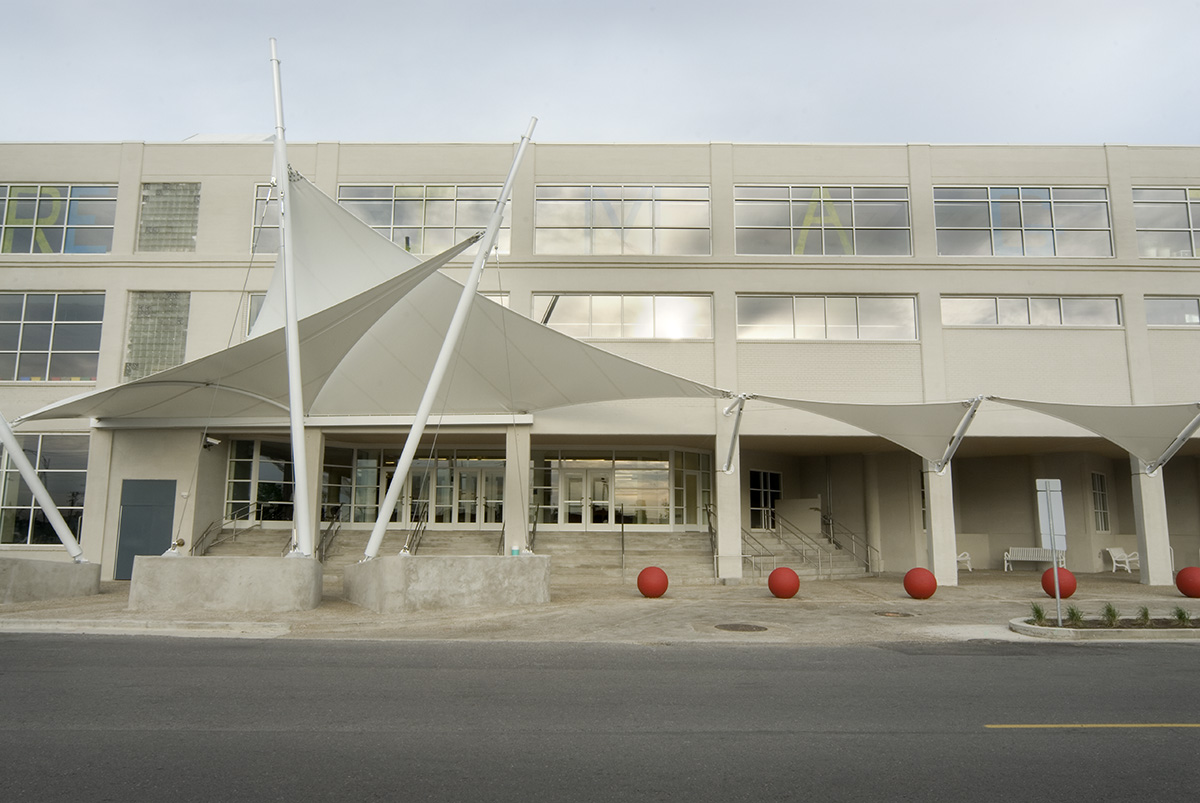 A wide view of the entire canopy.