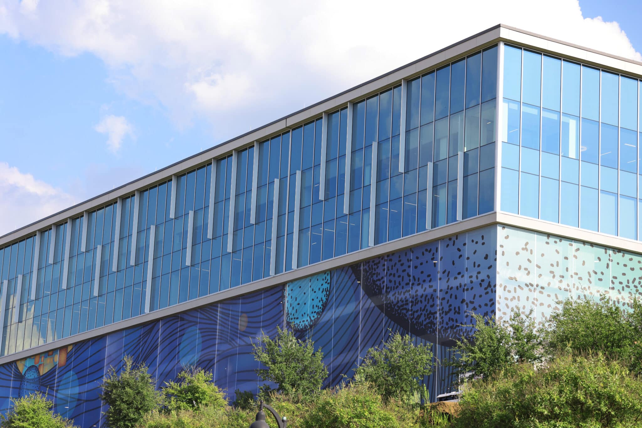 An corner shot of a blue space like facade peaking out through vibrant green trees.