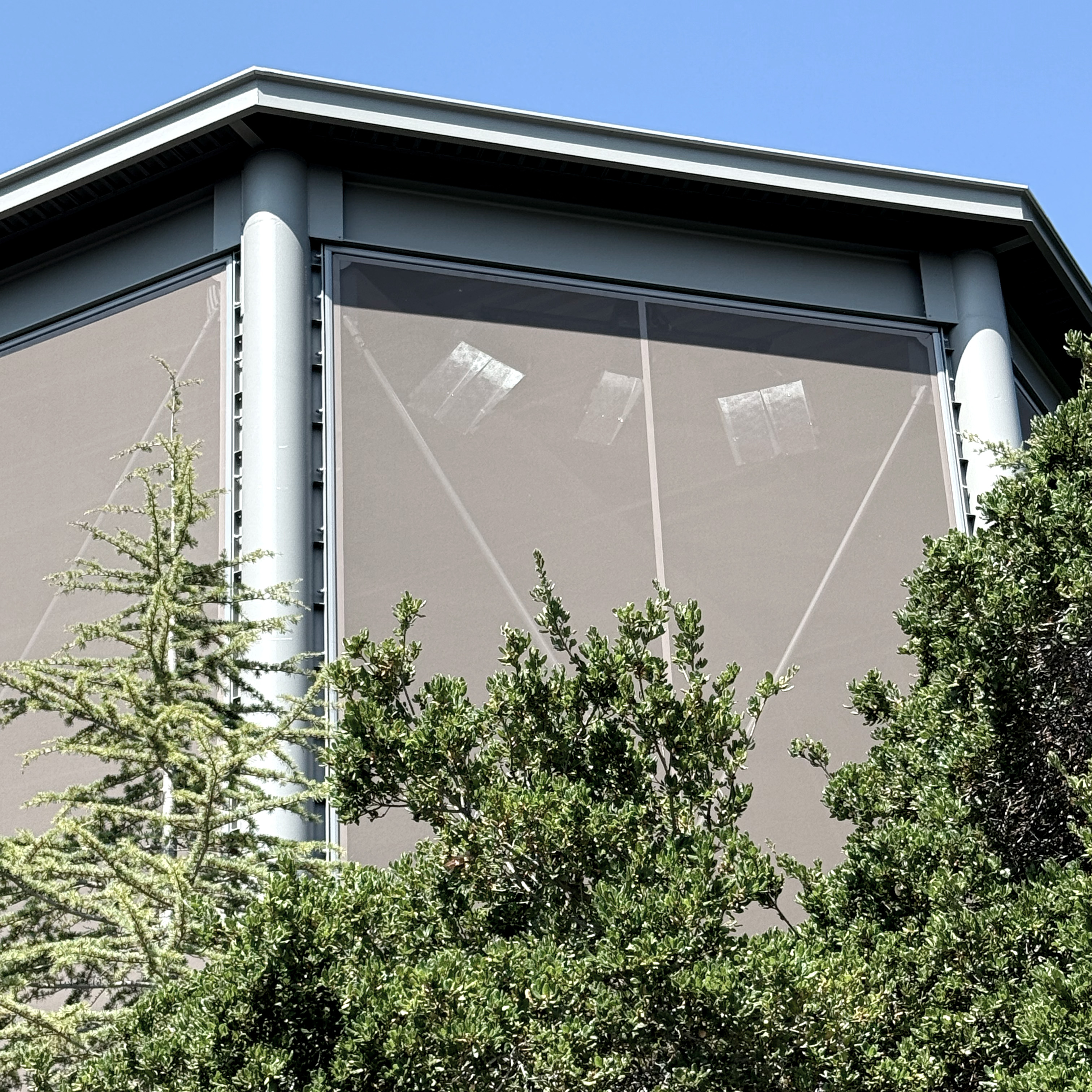 A view of the facade walls from the exterior showcasing how the structure sits behind trees.