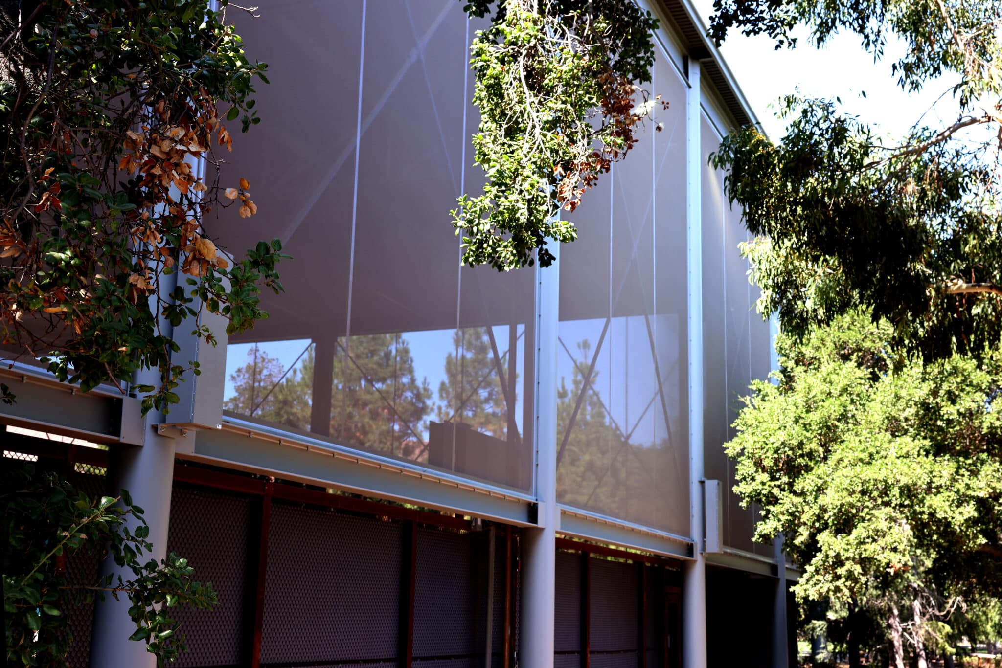 A view of the facade walls from the exterior of the structure showing how the dark color blends in with the surrounding nature.