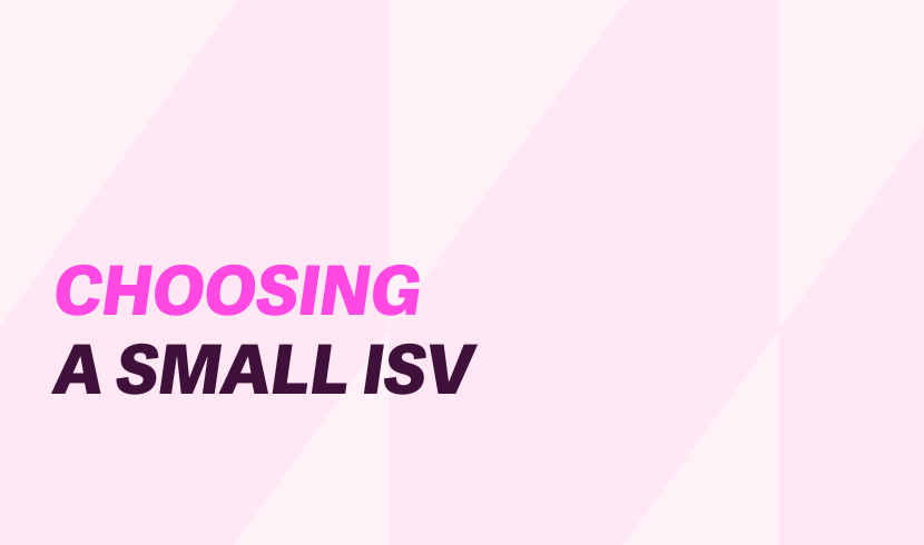 Why choosing a small ISV makes perfect business sense