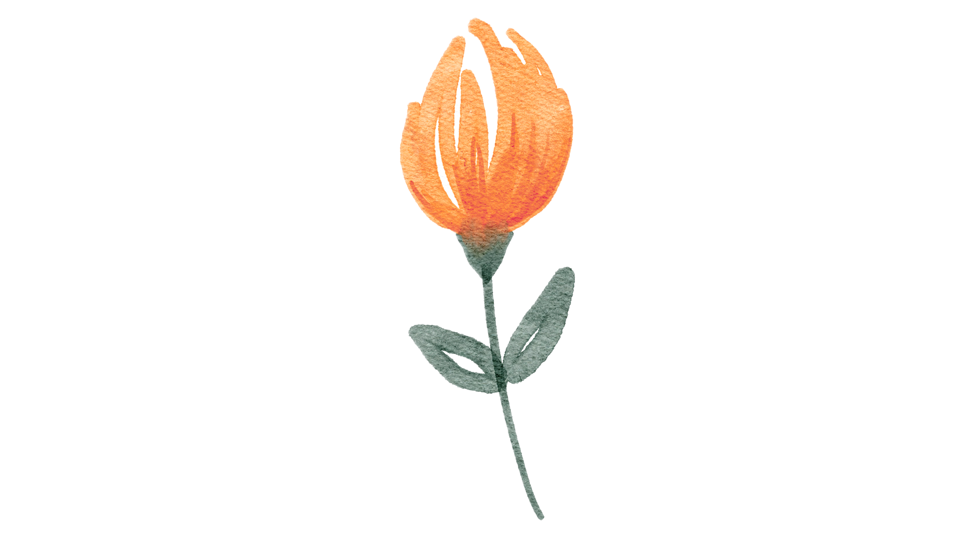 Decorative watercolor flower