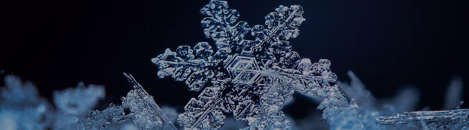 Close-up of a detailed snowflake with symmetrical crystal patterns on a dark background.