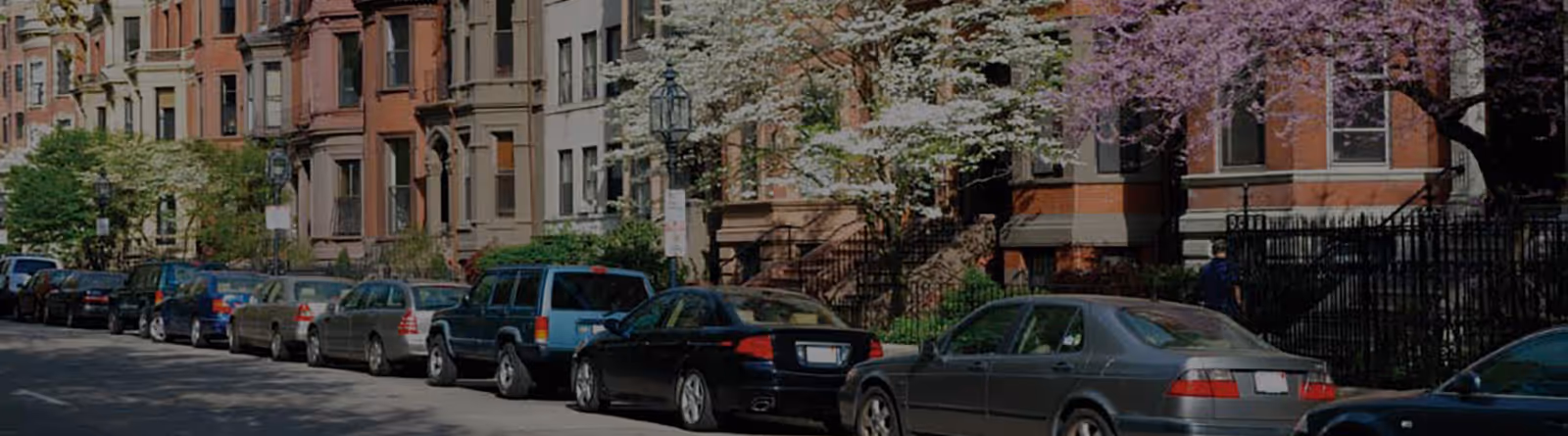 Row of parked cars along a tree-lined street with historic residential buildings in the background.