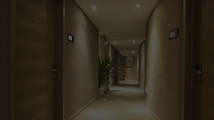 Dimly lit hotel hallway with closed wooden doors and a small potted plant along the wall.