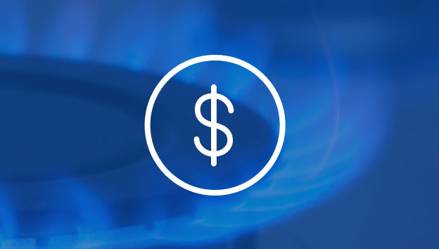 White dollar sign icon inside a circle over a blue natural gas burner flame background.