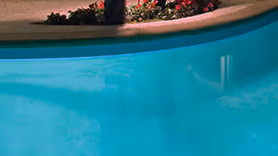 Clear blue water in a swimming pool with curved edge and plants in the background.
