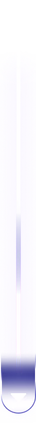 Journey Timeline