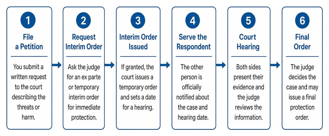 The legal path from filing a petition to receiving a final order The legal path from filing a petition to receiving a final order