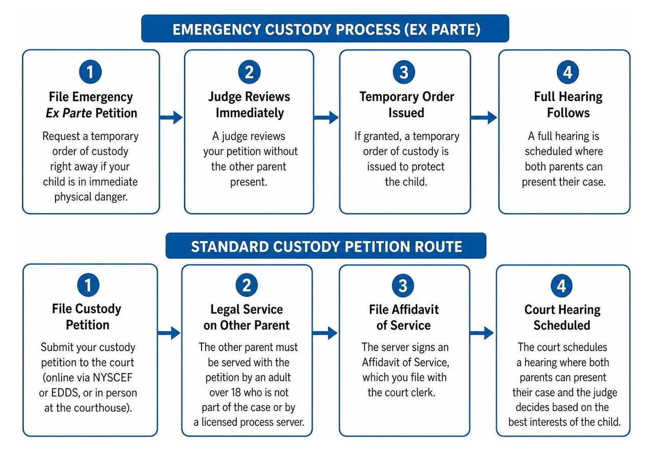 Emergency custody process versus standard custody petition route Emergency custody process versus standard custody petition route