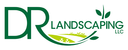 DR Landscaping LLC logo representing expert lawn care and landscaping services in Cranberry Township PA