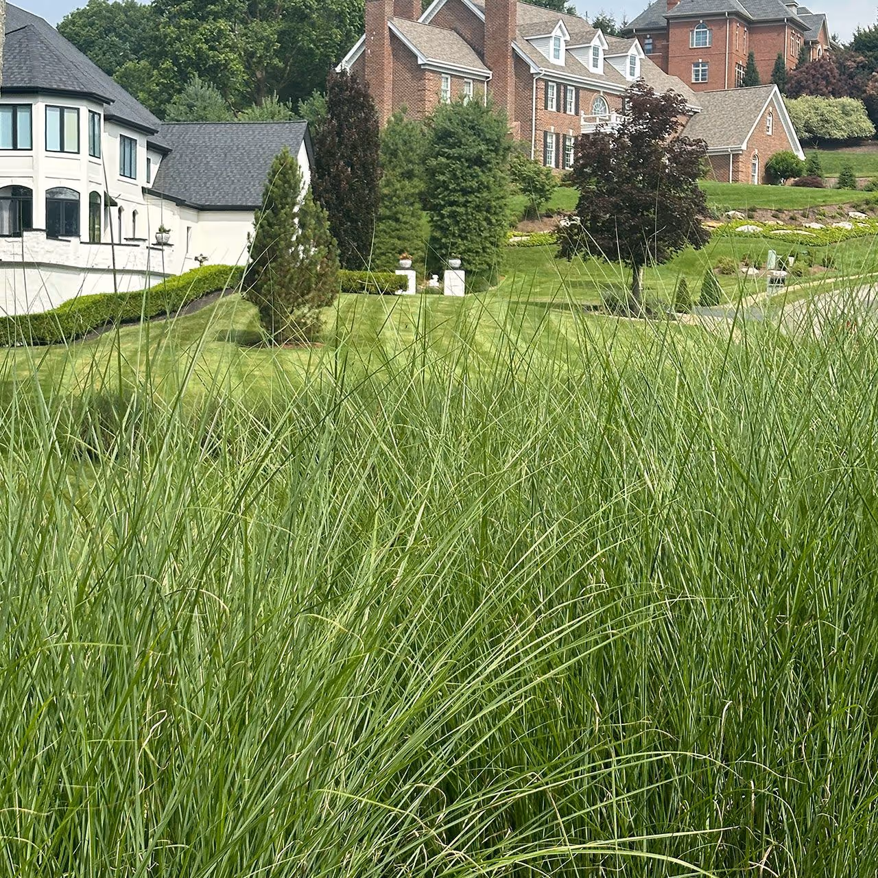 Request a landscaping quote from DR Landscaping near me in Mars and Wexford PA