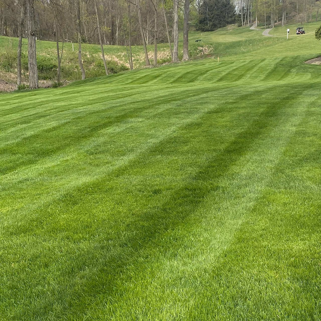 Professional lawn mowing service by DR Landscaping Wexford PA