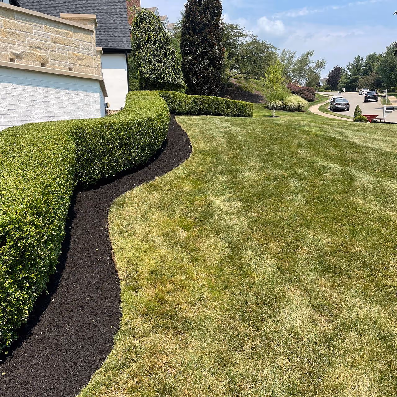 pruned shrubs and trees by DR Landscaping Southern Butler County