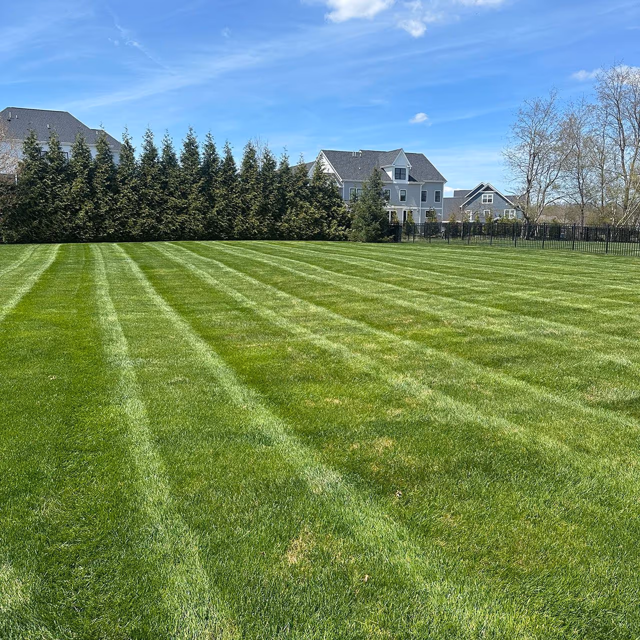 Freshly cut grass and clean edges by DR Landscaping Gibsonia PA