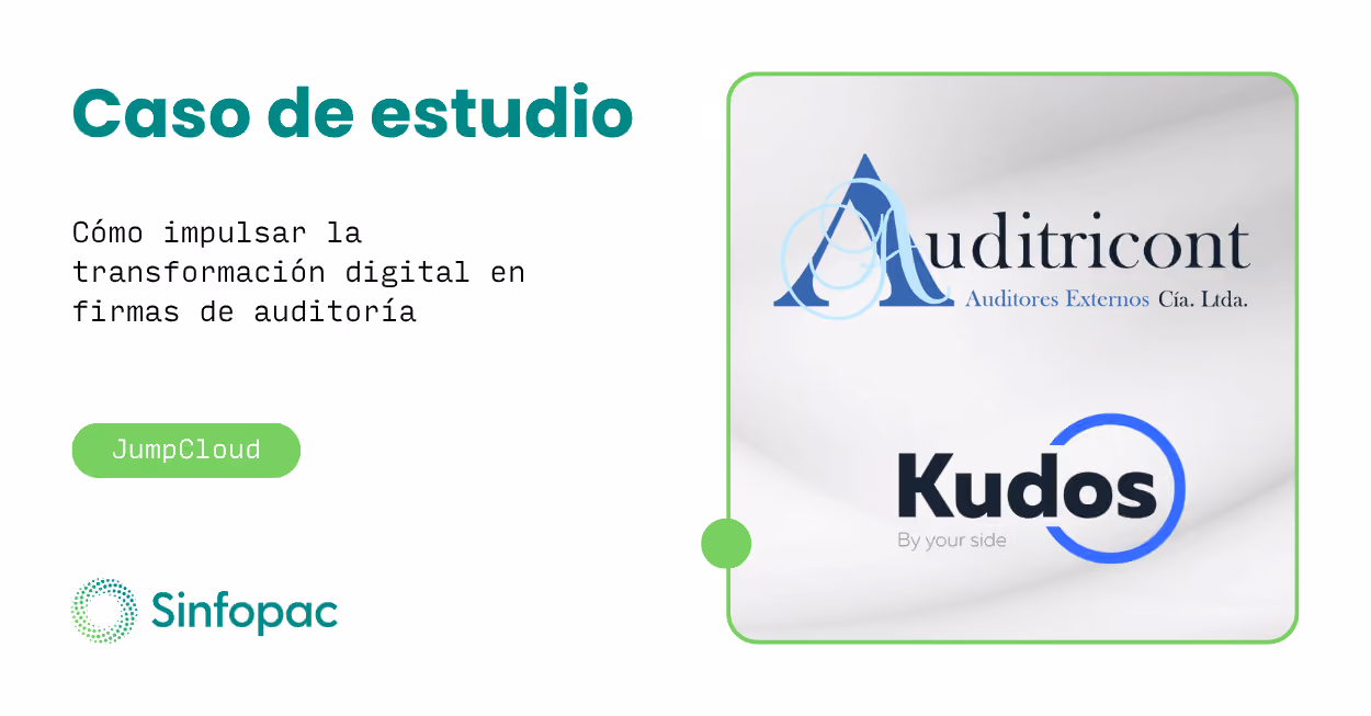 Representación conceptual de consultoría de sistemas y análisis contable para firmas de auditoría