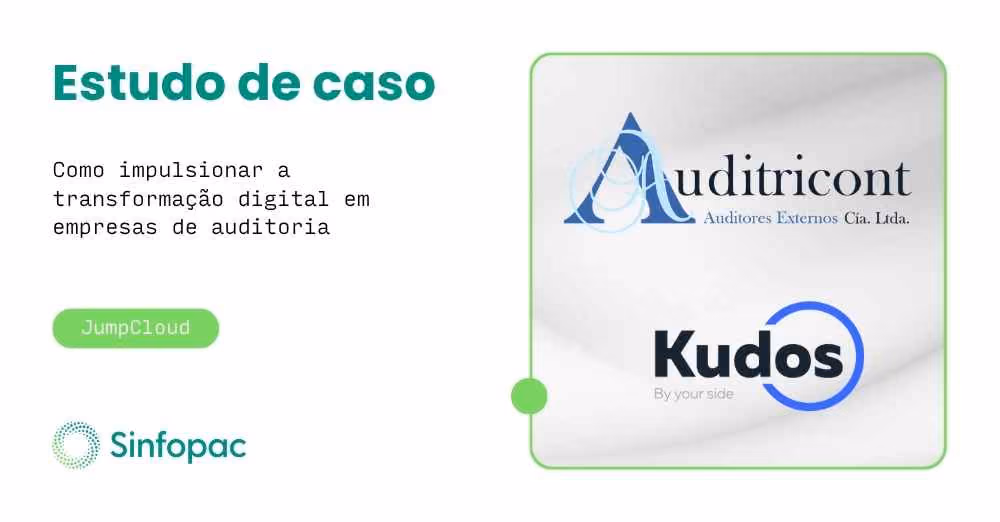 Representação conceitual de consultoria de sistemas e análise contábil para empresas de auditoria