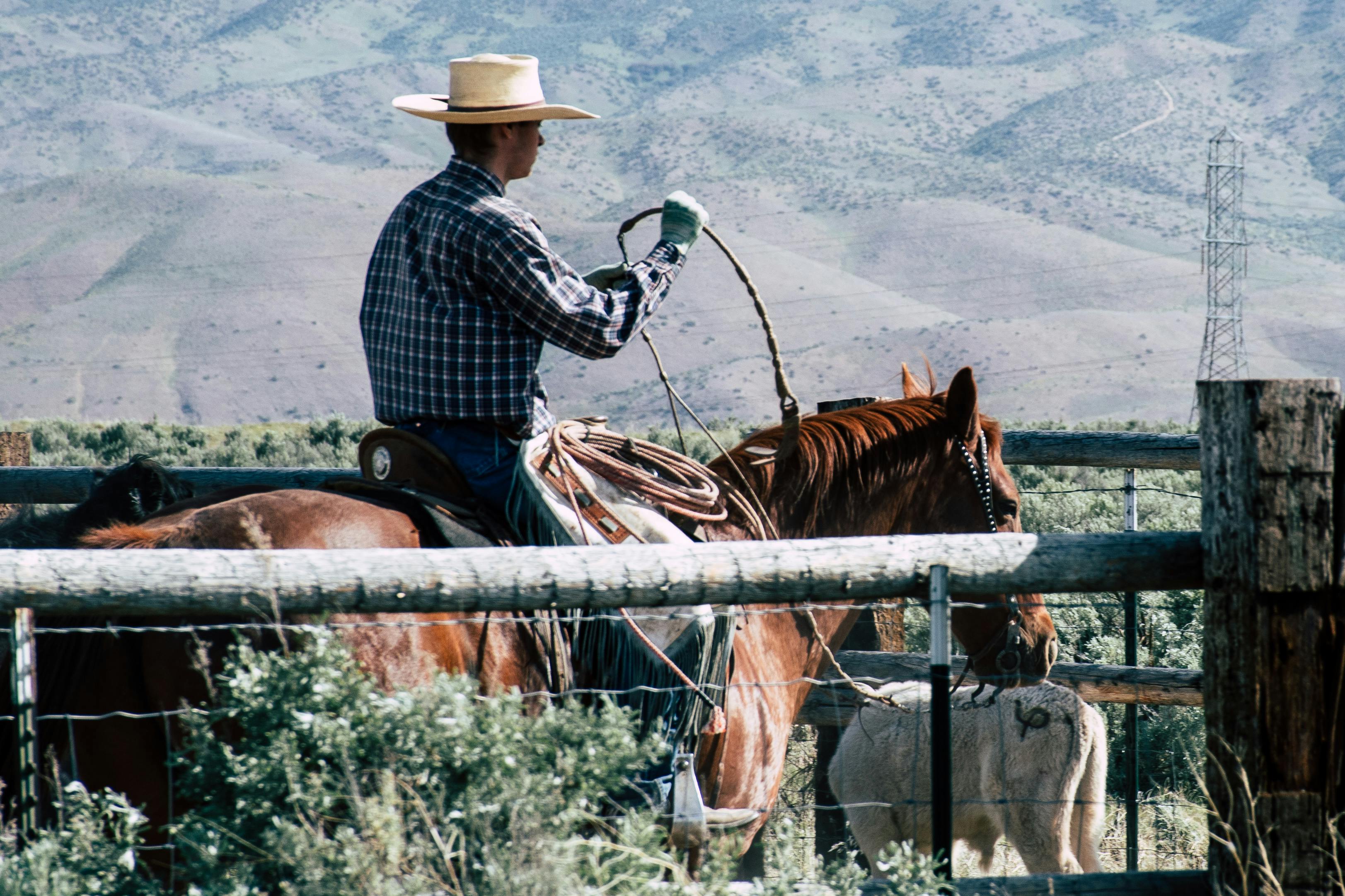 Genetic Insights: What Every Rancher Should Know