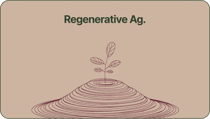 A picture of a plant on top of a hill.