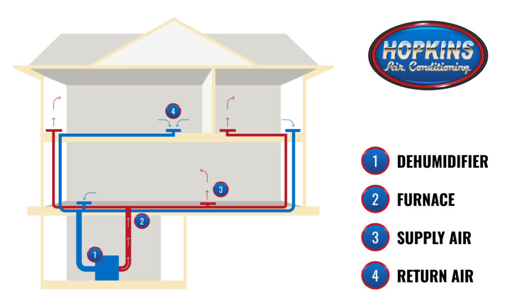graphic of how a whole home dehumidifer works with your home's HVAC system