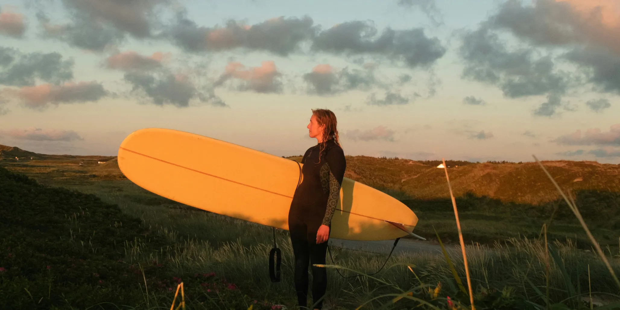 Photo by Daniel J Schwarz