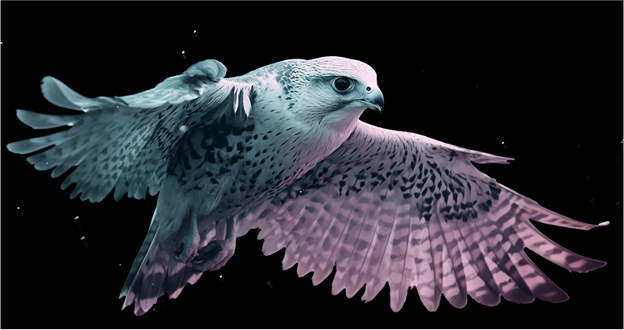 An artistic, dual-tone image of a bird of prey in flight, symbolizing the precision and natural inspiration for the DRK collection's intricate nose pad.