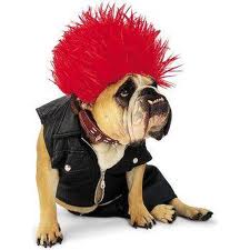 halloween dog1