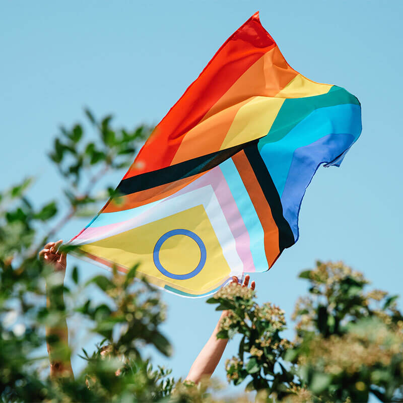 An individual proudly holds Intersex-Inclusive Progress Pride Flag aloft.