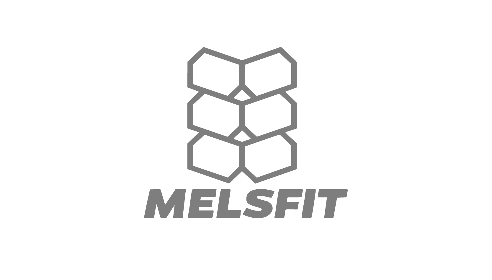 Logo of Melsfit featuring a stylized geometric honeycomb design above the company name in bold uppercase letters.
