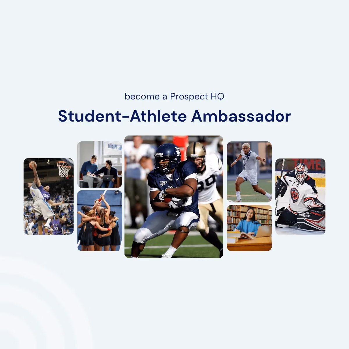 What Is the Prospect HQ Ambassador Program? Everything You Need to Know